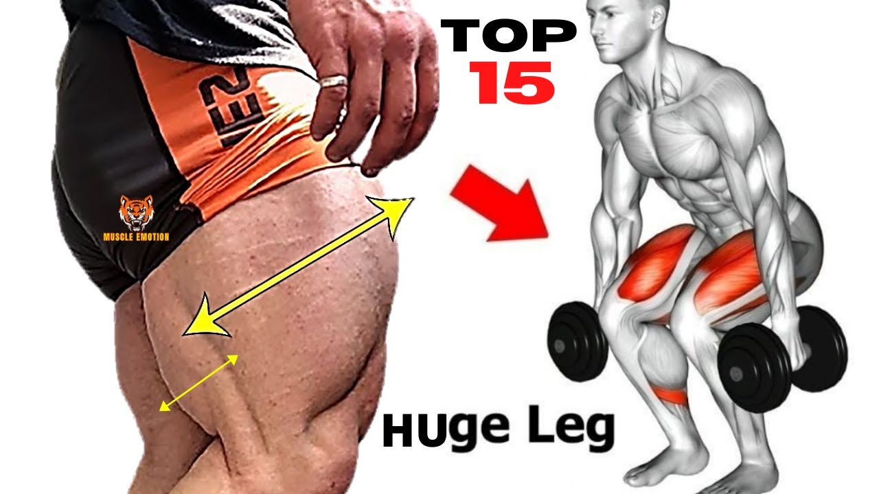 15 BEST LEGS WORKOUT AT GYM WITH DUMBELLS BARBELL MACHINES