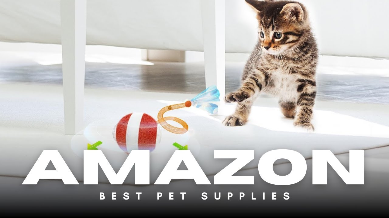 🐾🎾 Interactive Cat Toy – Automatic Moving Ball with Elastic Mesh Tail for Indoor Fun!