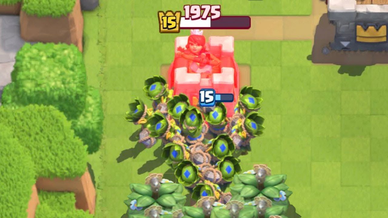 suspicious bush is broken