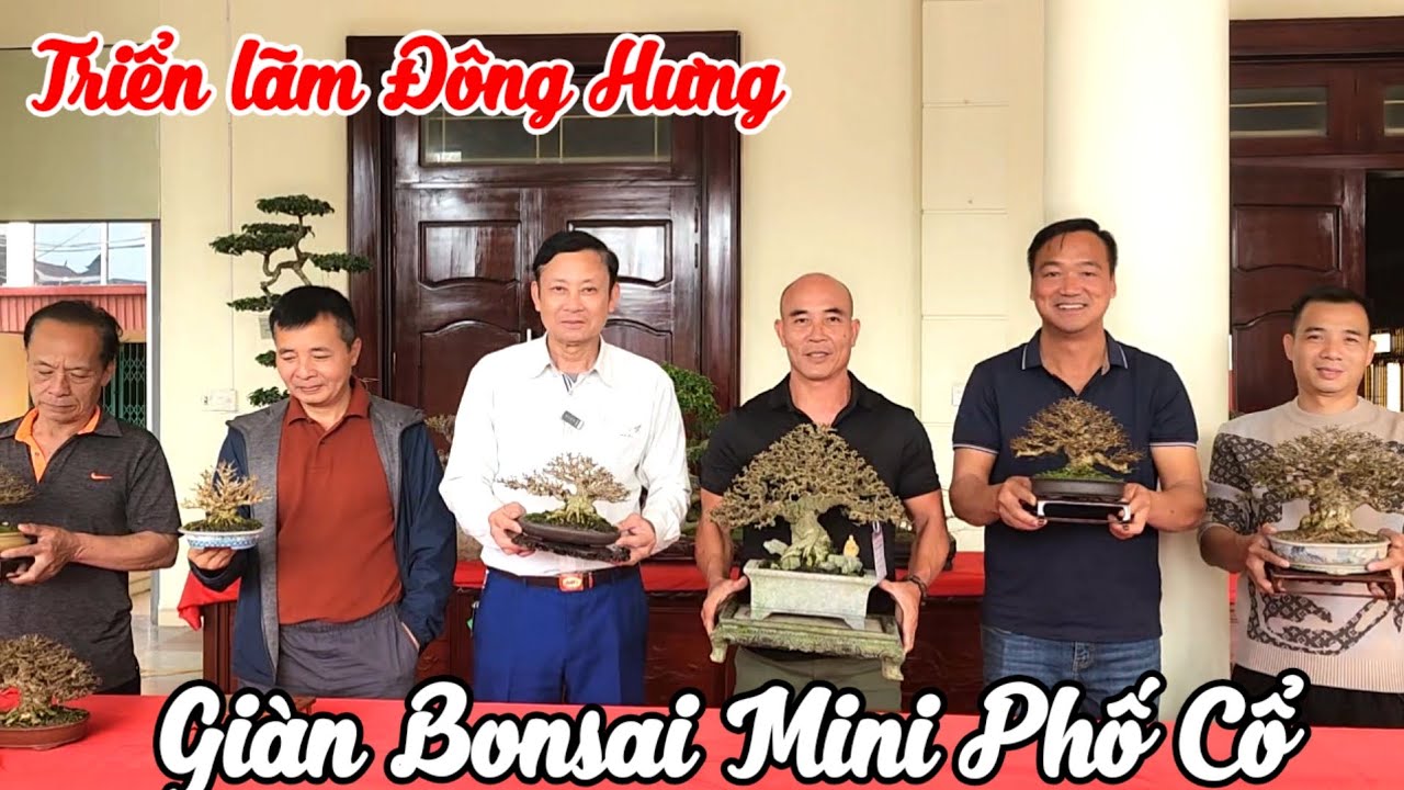 Giàn Bonsai mini bê tay cực Chất tại triển lãm Đông hưng (từ 21 👉 28.2025 DL) 