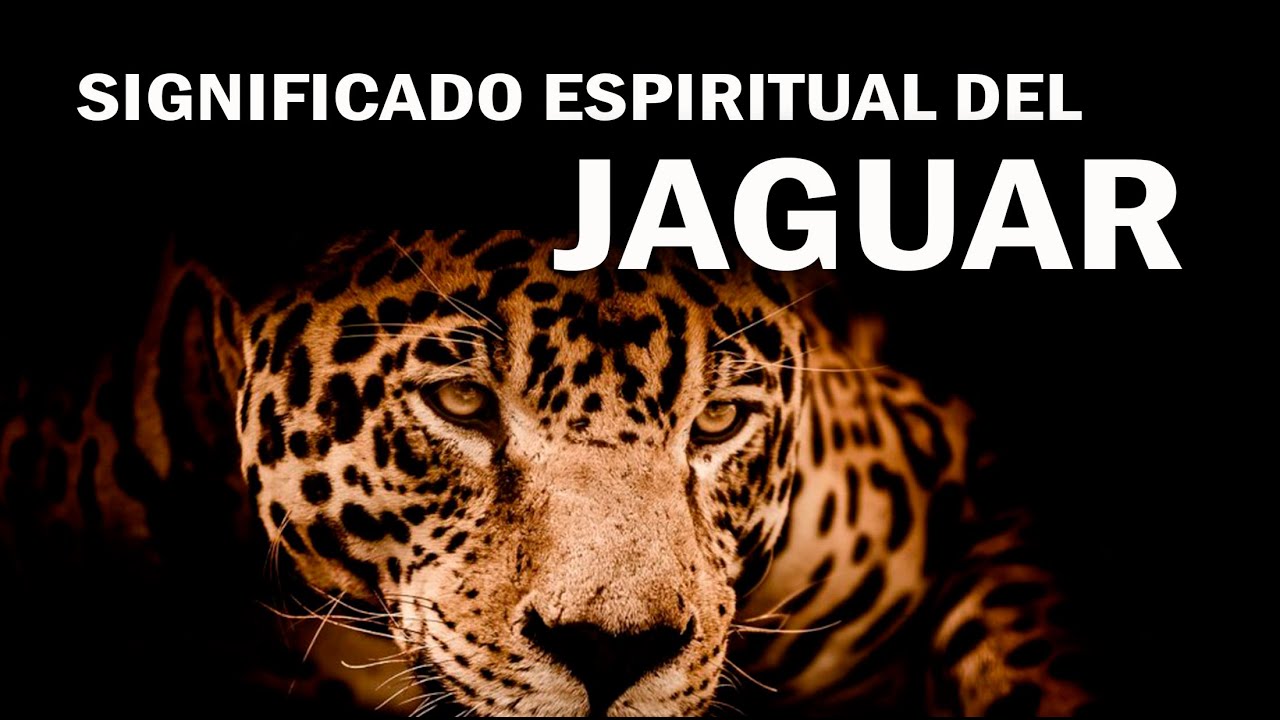 El Jaguar: Símbolo de Poder y Sabiduría Espiritual | Sabiduría Ancestral Revelada 🐆✨️