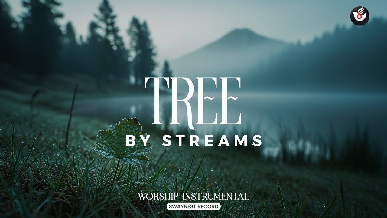 Tree by Streams - Gentle instrumental: listen and grow steady in every season