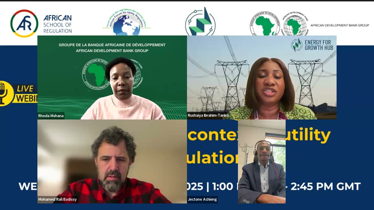 Power Purchase Agreements (PPAs) in the Context of Utility Regulation