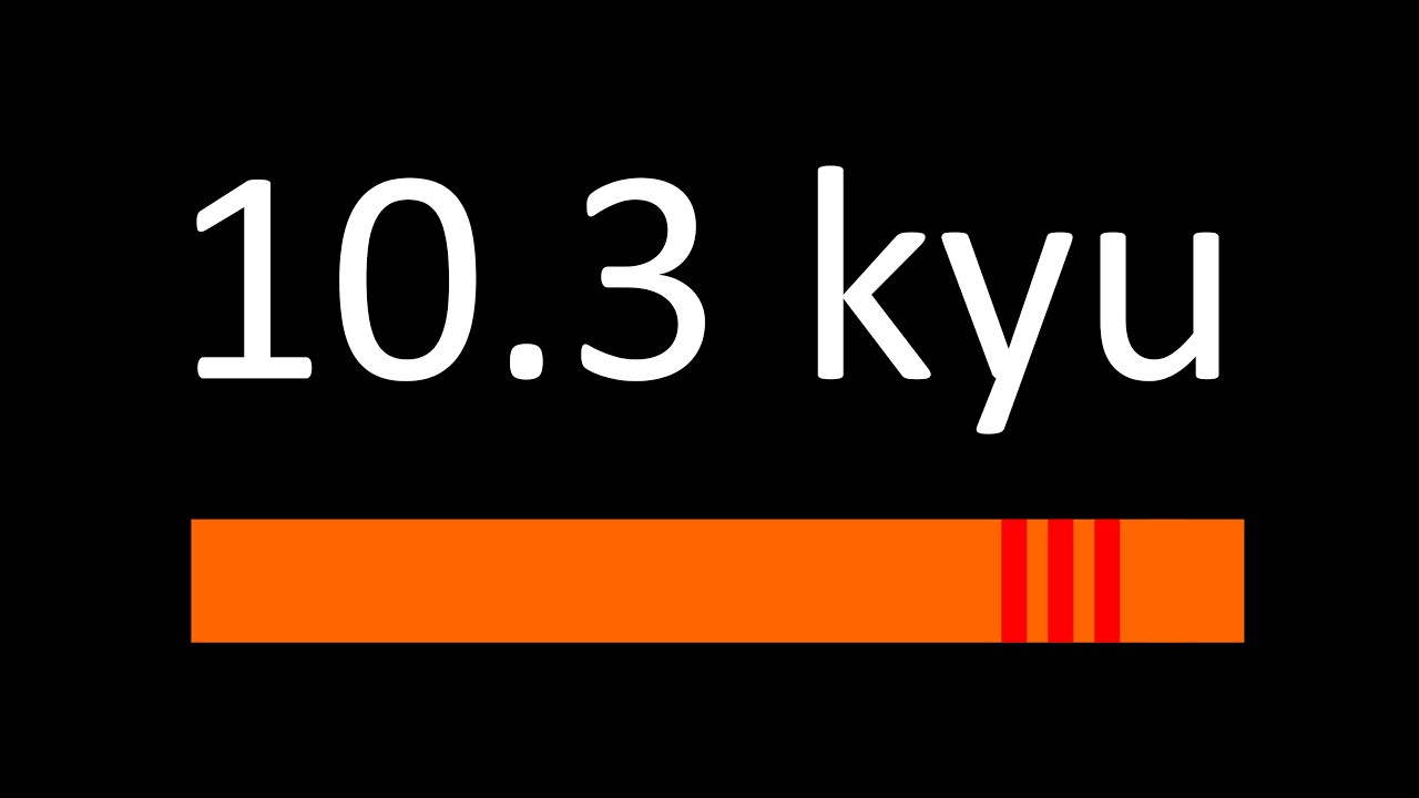 KSW BUSHI wymagania 10.3