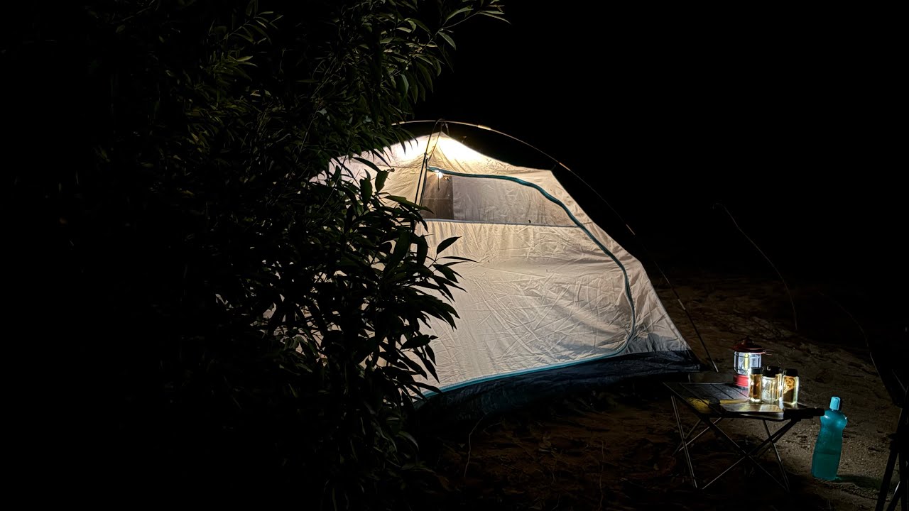 Forest river campsite reserve #solocamping #camping