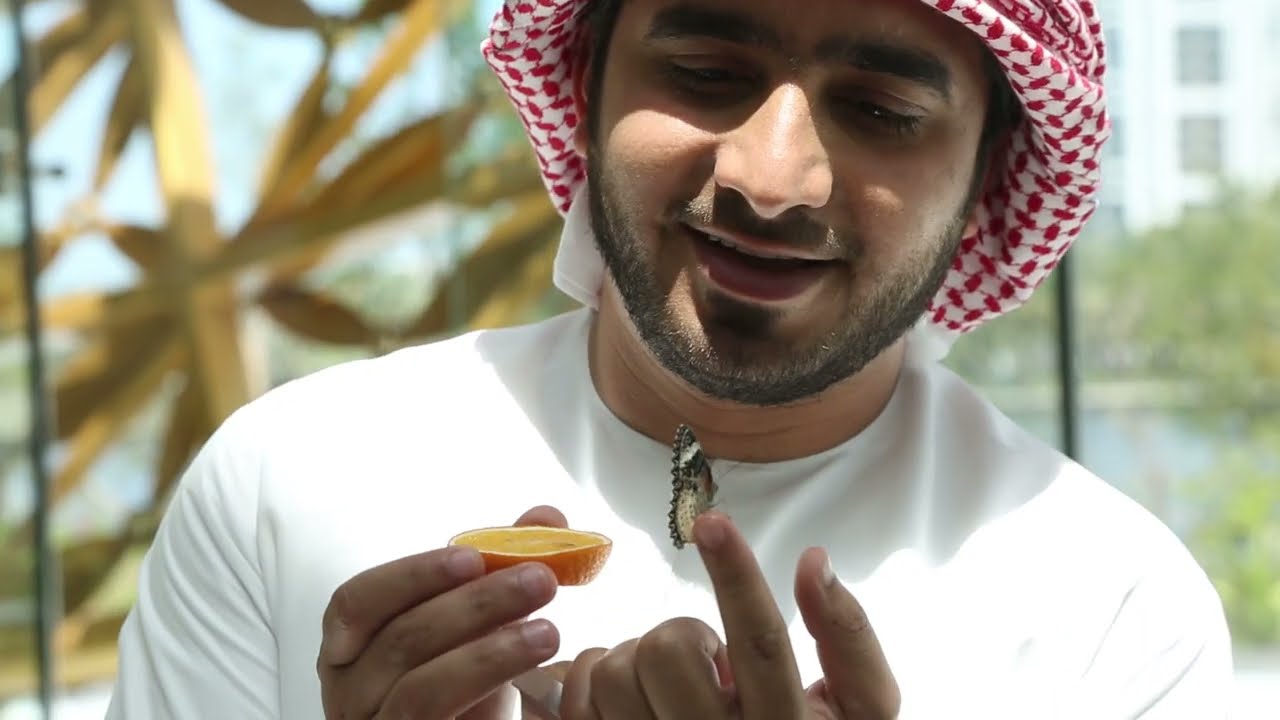 برنامج في الشارقة - جزيرة النور