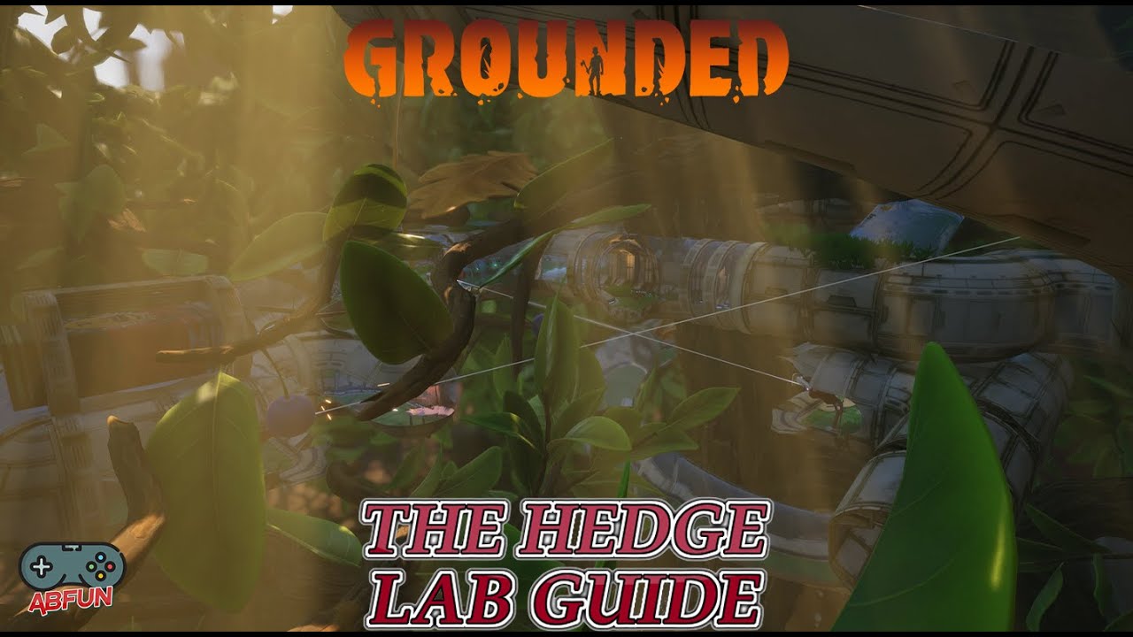 THE HEDGE LAB GUIDE_ Grounded Episode 8