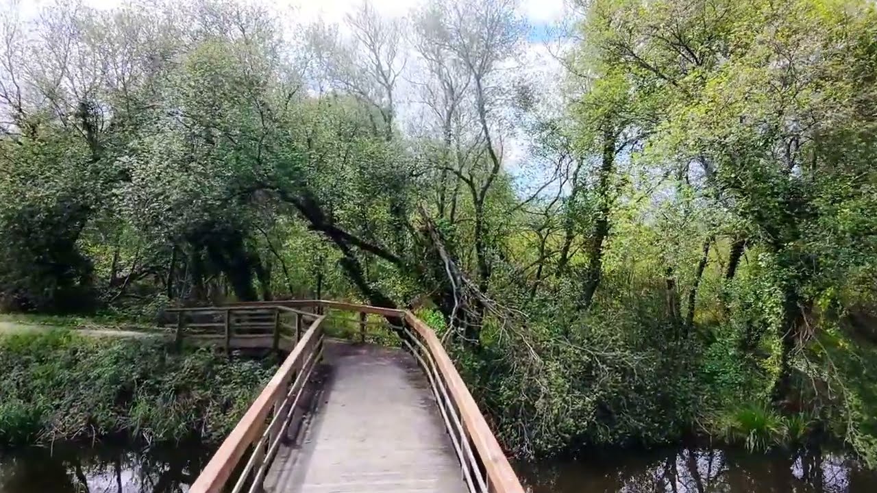 Lagoa de Mira, Coimbra - Portugal