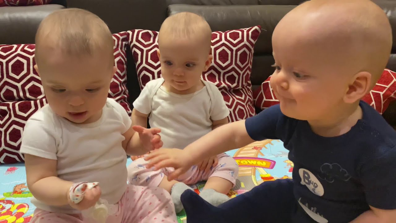 Triplet babies fighting over pacifier - Tritriplets