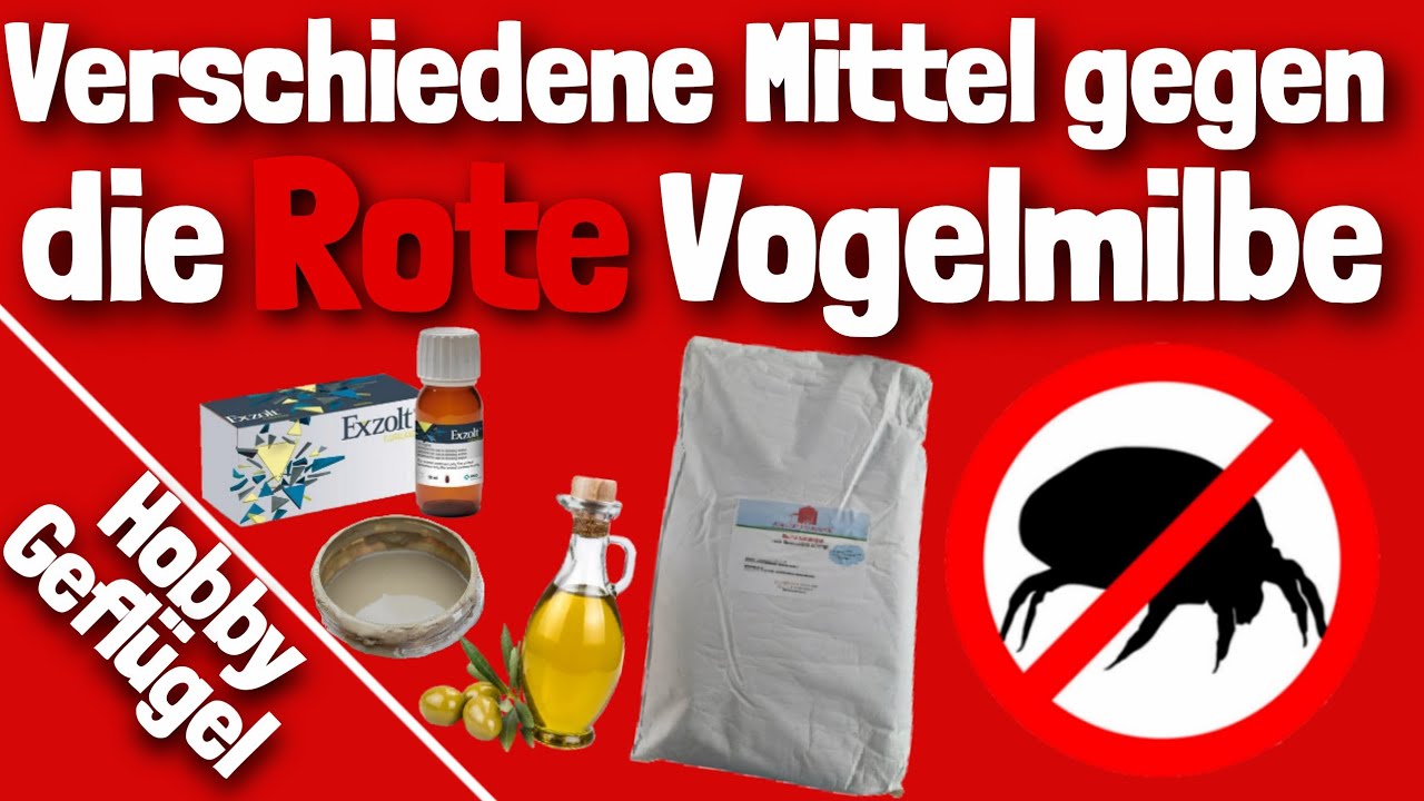 Verschiedene Mittel gegen die Rote Vogelmilbe