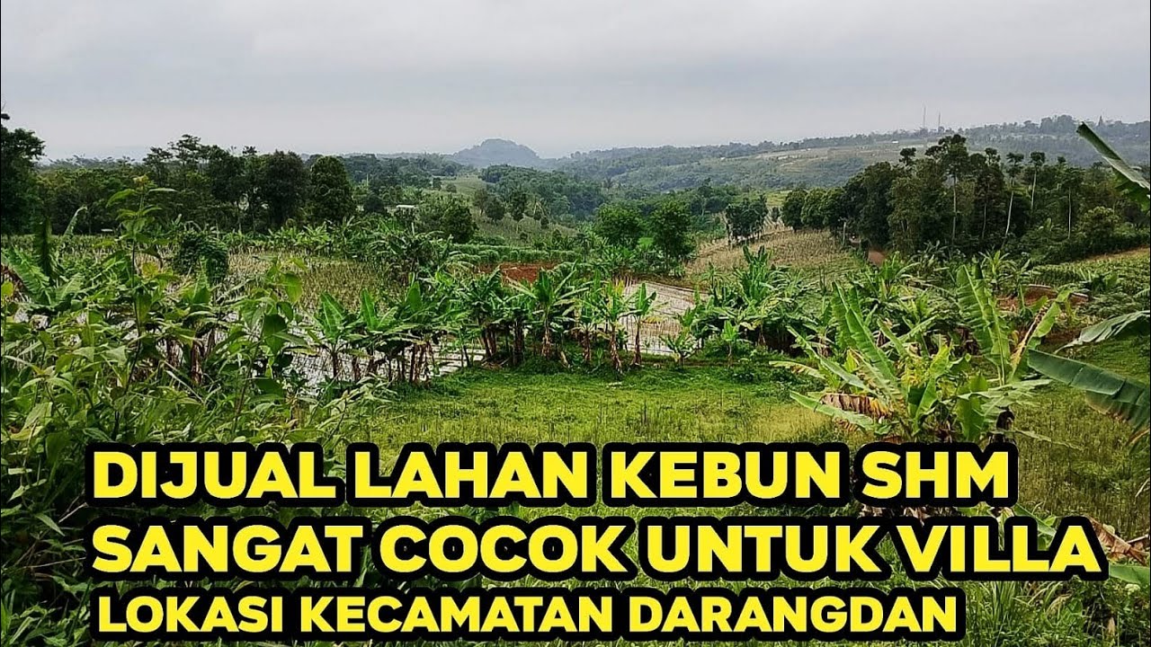 DIJUAL LAHAN KEBUN SURAT SHM DI KEC DARANGDAN.LUAS.2HEKTAR.