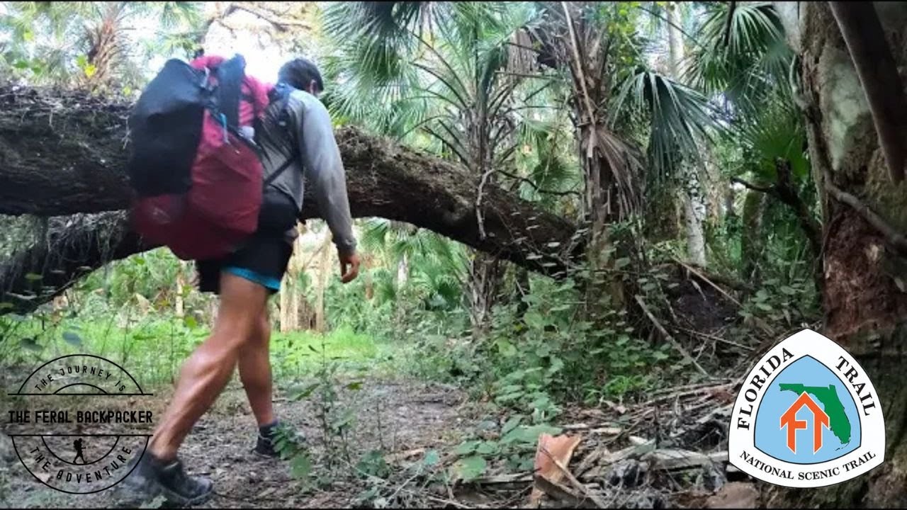 FLORIDA TRAIL Solo Thru-Hike EP 4 | Lake Okeechobee to Kissimmee Prairie