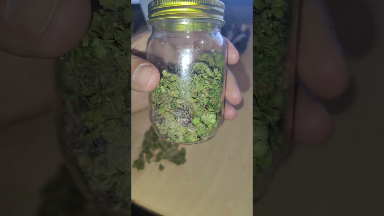 weed strain Skywalker Og Kush