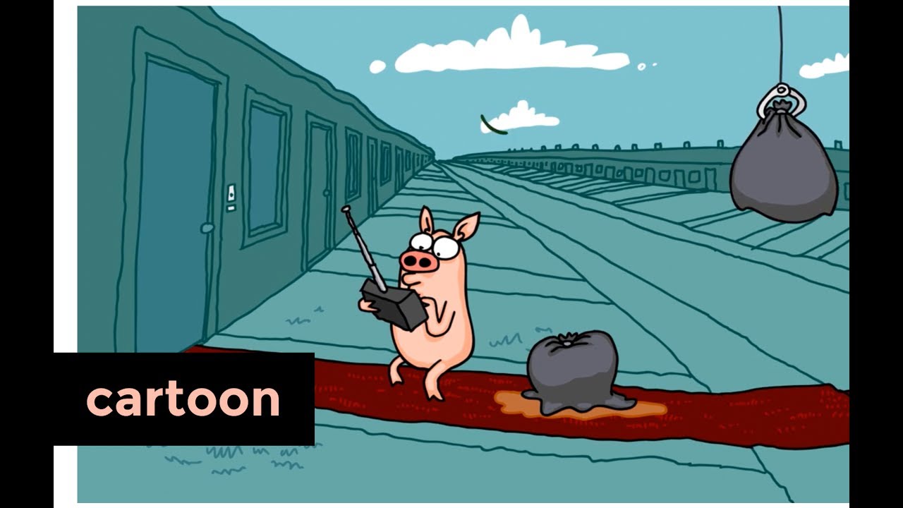 Varkentje Rund - Drone | Het Klokhuis