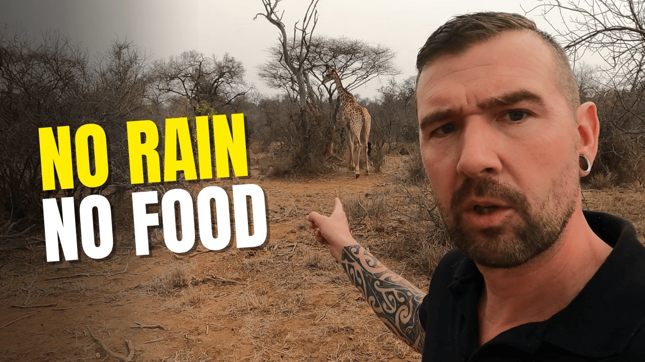 Hoedspruit is dry! | Animals are starving | Dutch guy living in South Africa - v21