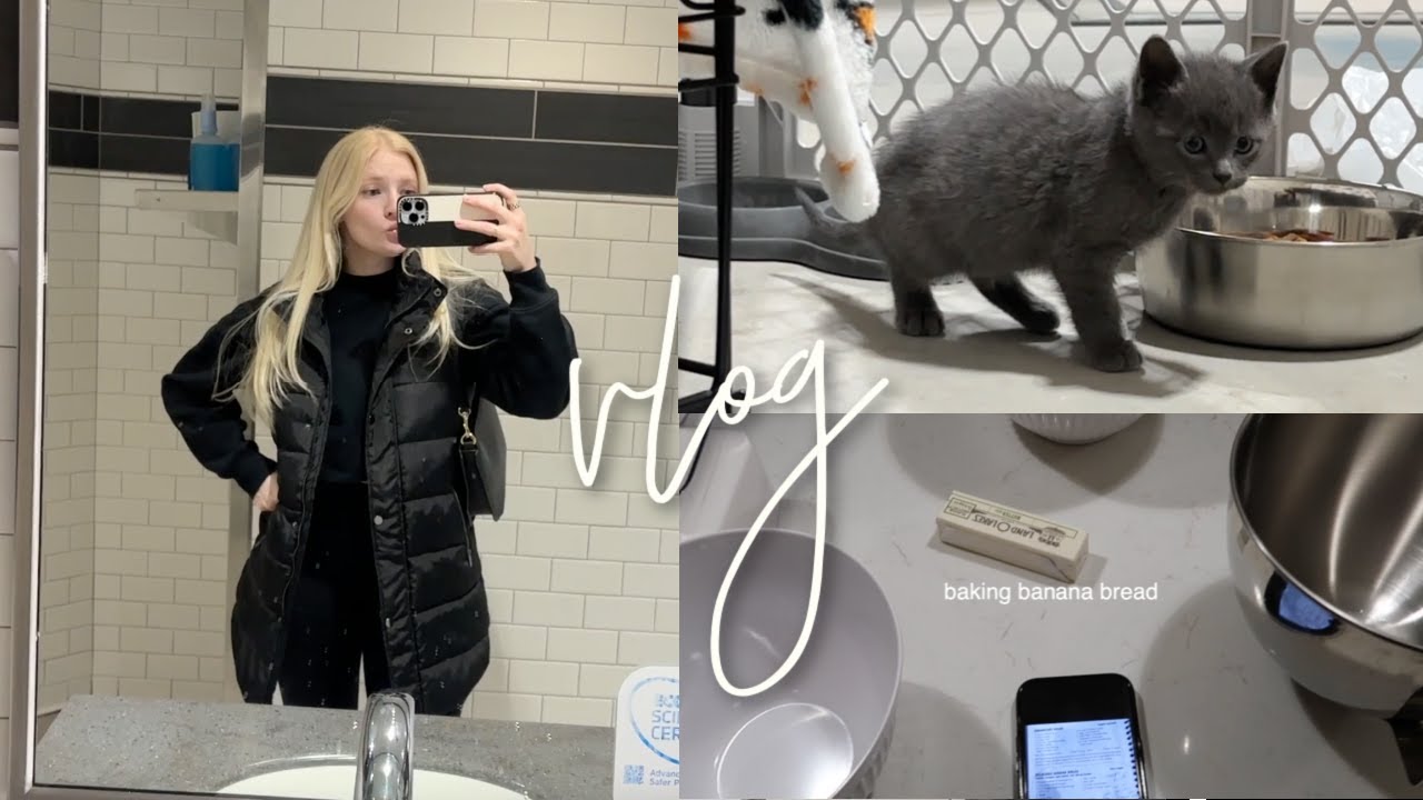 VLOG: rehoming SIX kittens, junk journaling, cleaning