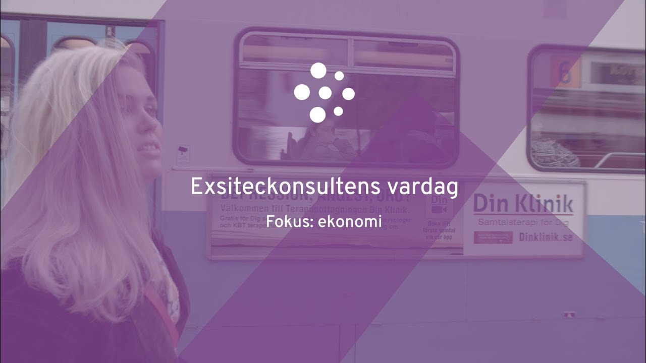 Exsiteckonsultens vardag - affärssystem ekonomi