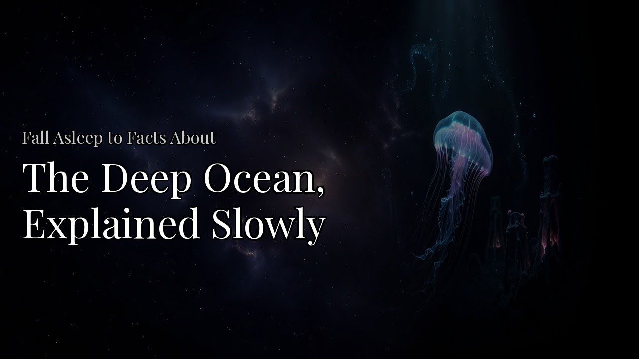 The Deep Ocean, Explained Slowly (A Calm Drift Through the Abyssal Zone)