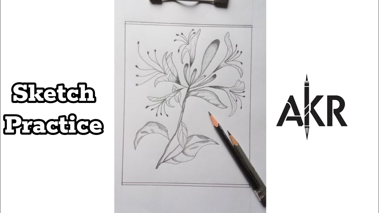 flower sketch ll honeysuckle ll day 237/365  #sketch #flower #shorts