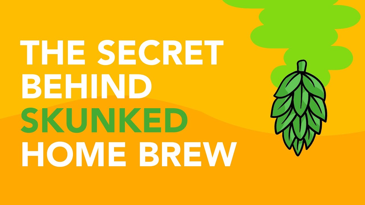 Why beer gets SKUNKY in sunlight (no, it's not just the hops)