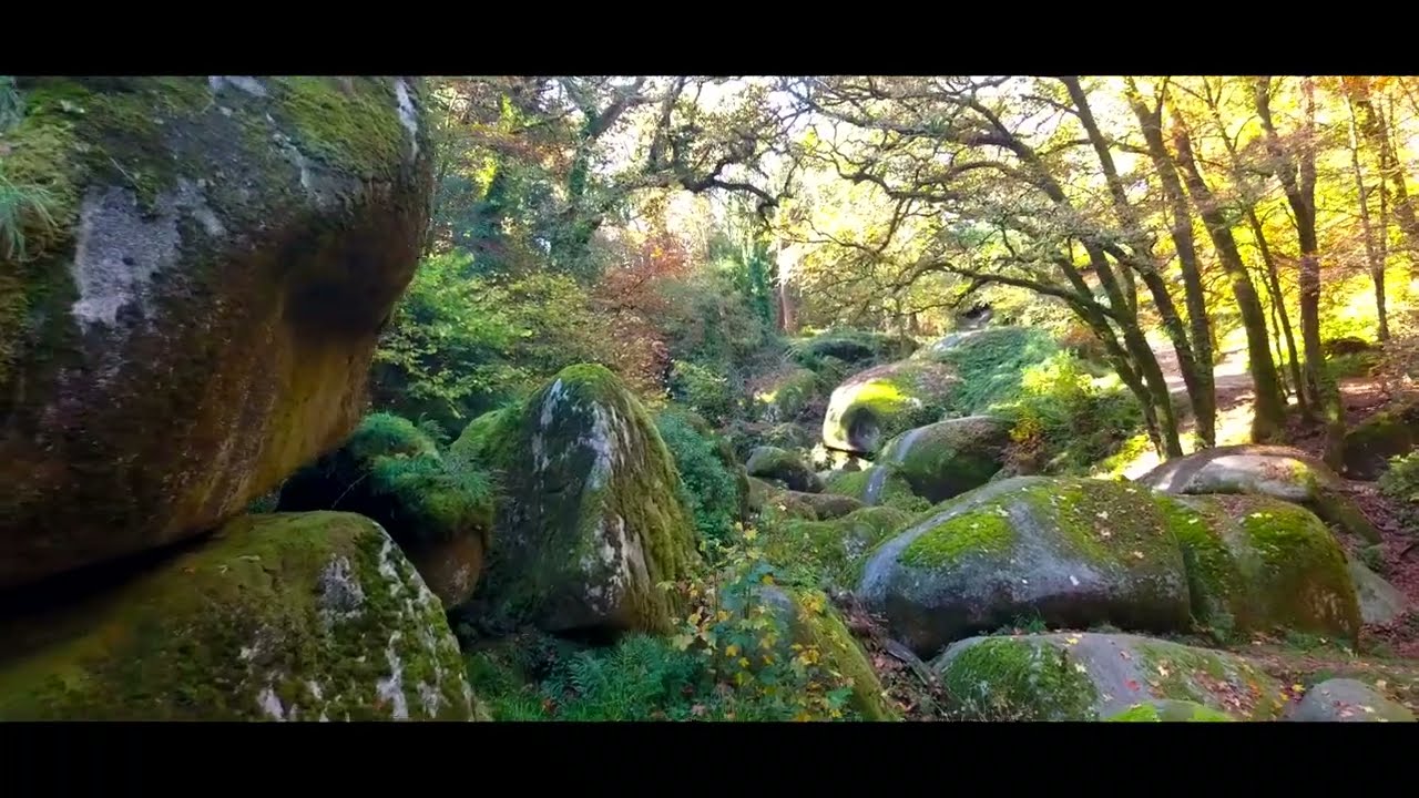 BREIZHZENITUDE , La forêt d'Huelgoat en automne , La Bretagne vue du ciel