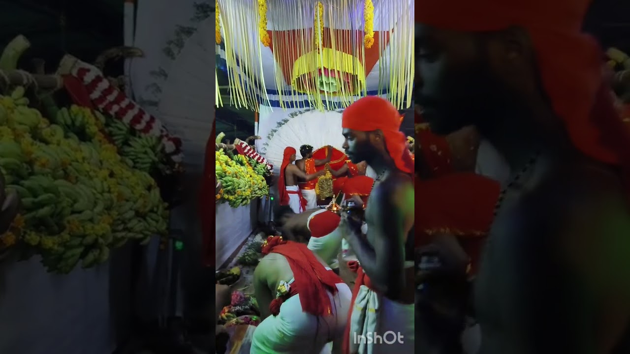 വെള്ളായണി അമ്മ
