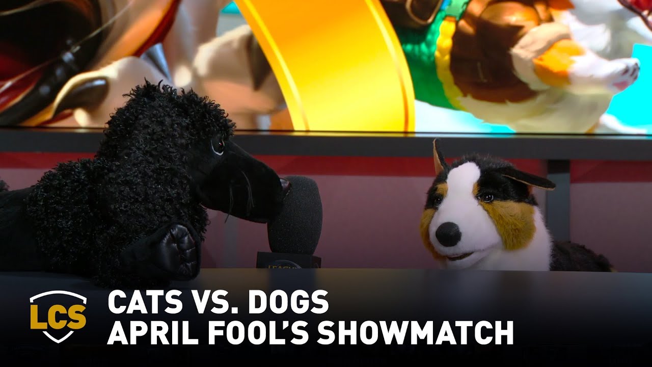 Cats vs. Dogs April Fool's Showmatch