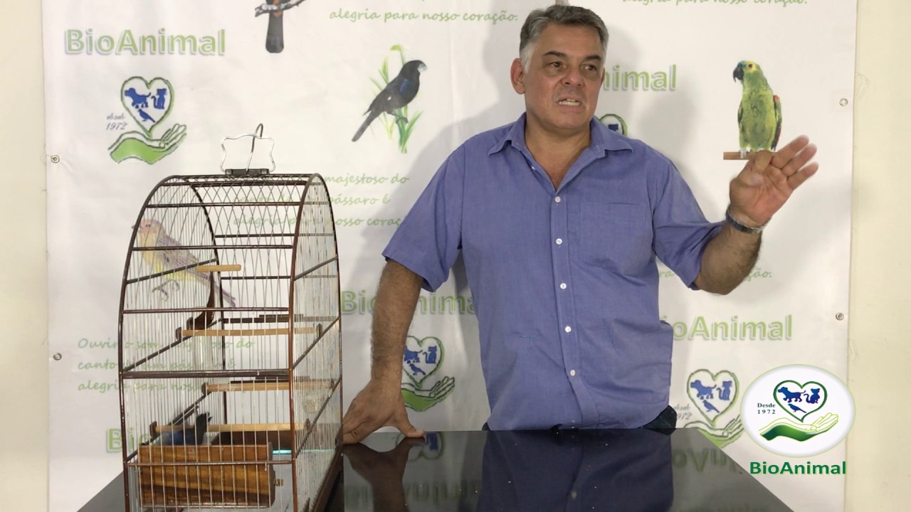 SAIBA UM POUCO MAIS SOBRE O AZULAO