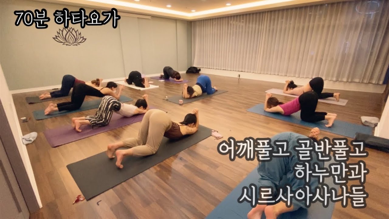 [엔젤요가] 어깨풀고 골반풀고 | 하누만아사나 | 시르사아사나들