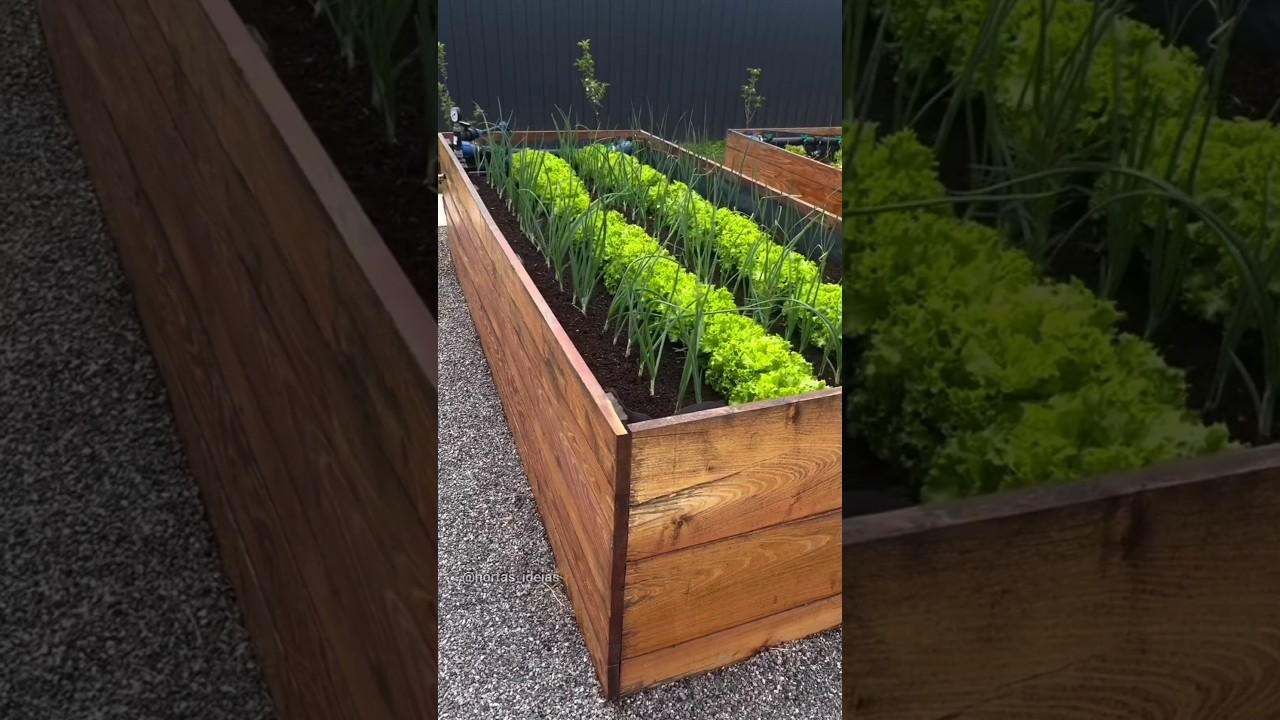 A horta perfeita de canteiro de madeira #hortaemcasa #garden #canteiro #horta #hortaorganica