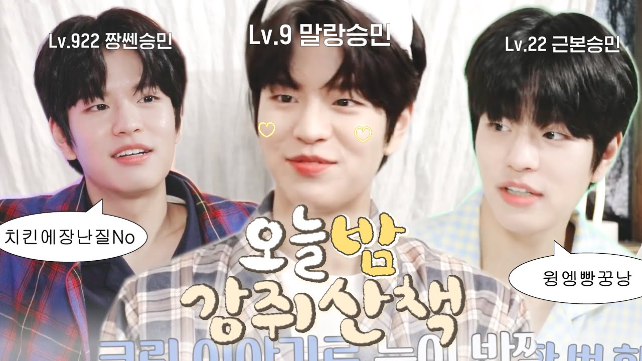 [스트레이키즈/승민] 김승민 현실말투작렬 (feat.꿀멍즈)