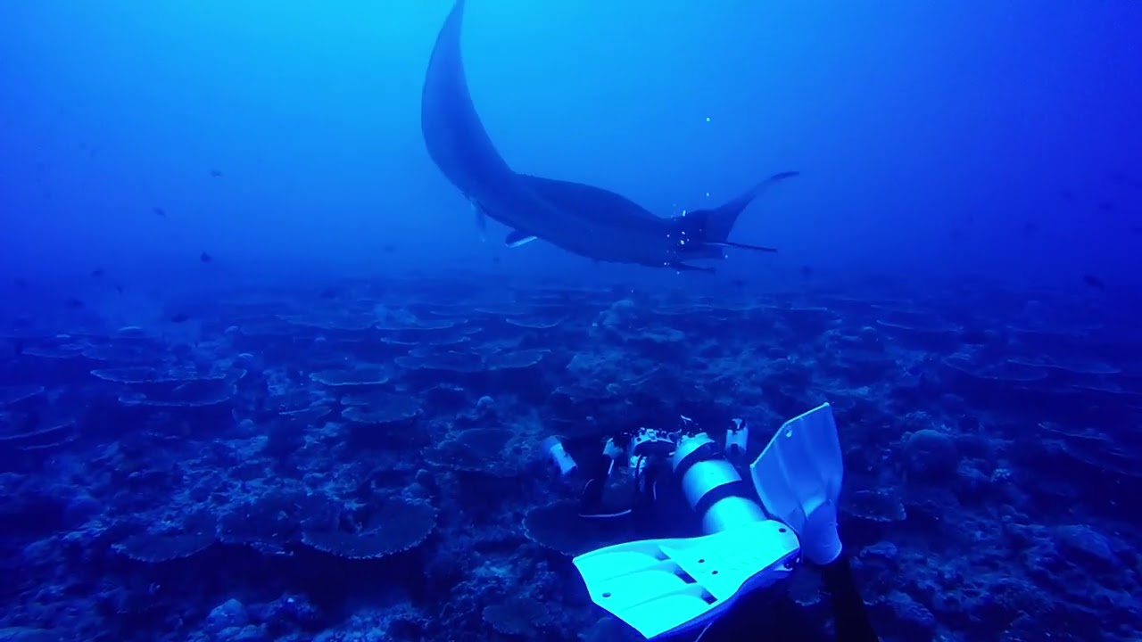 Malediivit - Best of Maldives