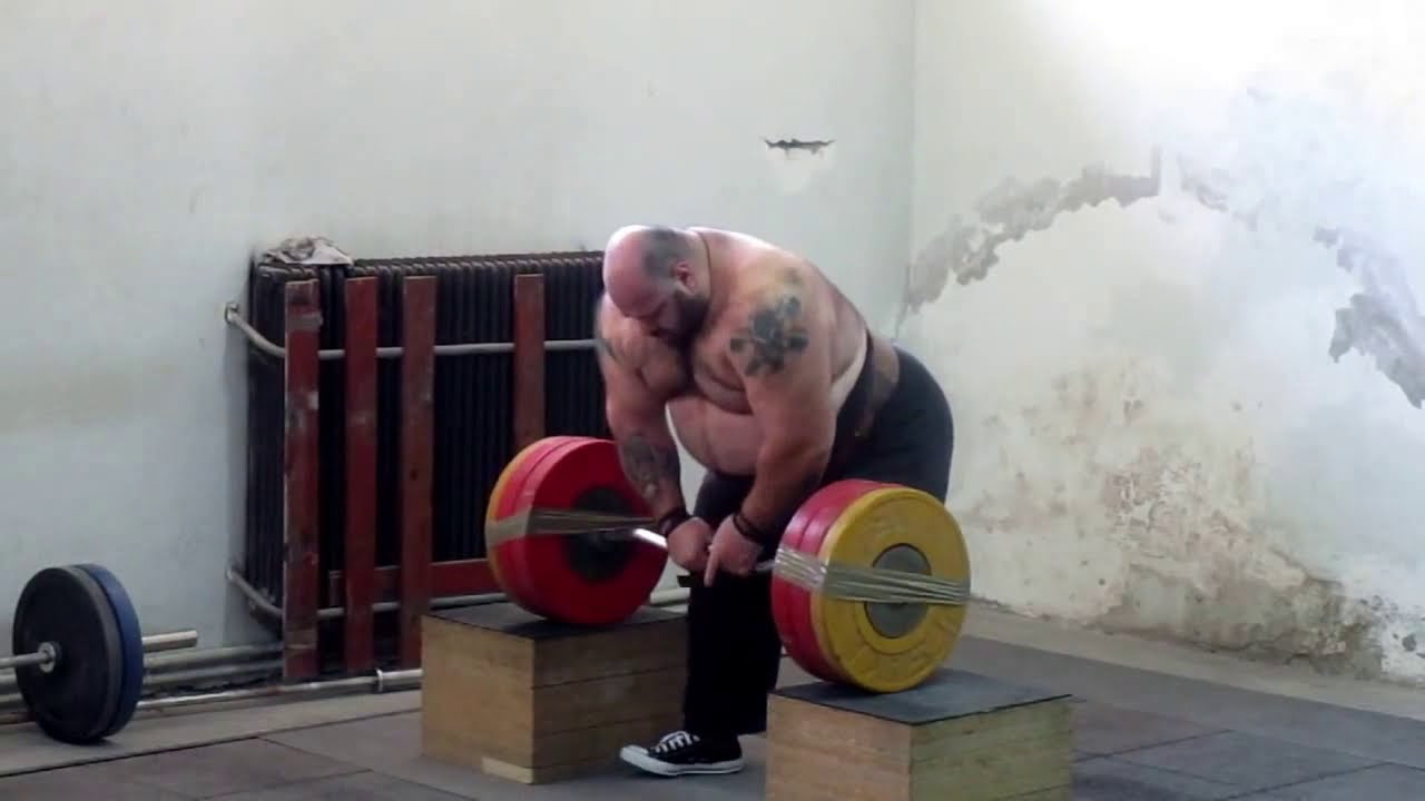 Kyriakos grizzly training