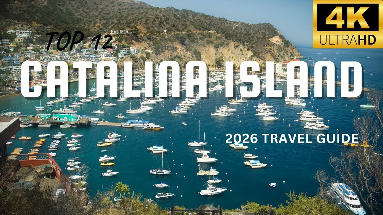 12 BEST Things To Do In Catalina Island CALIFORNIA in 2026