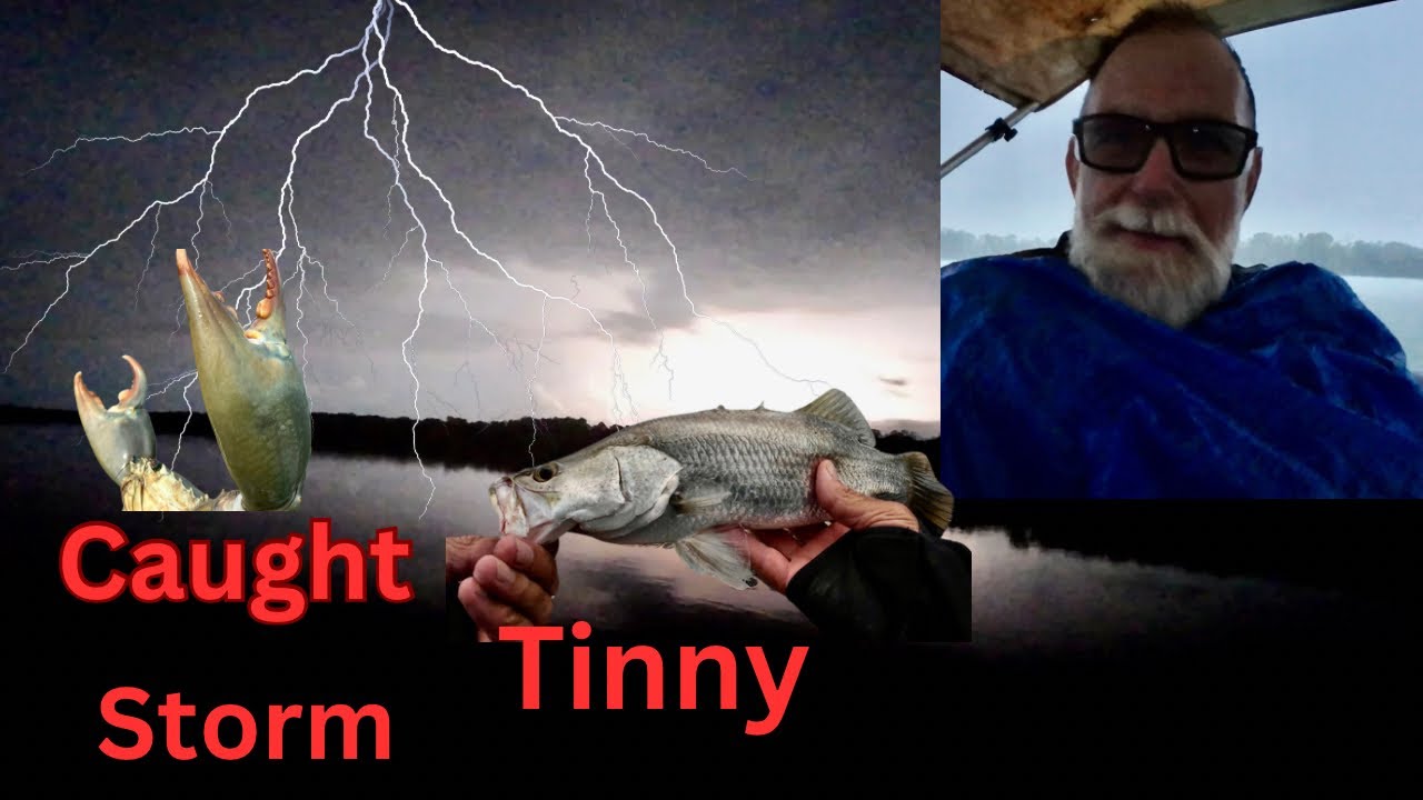 Caught in Storm Mud Crabs & Barramundi's..!!