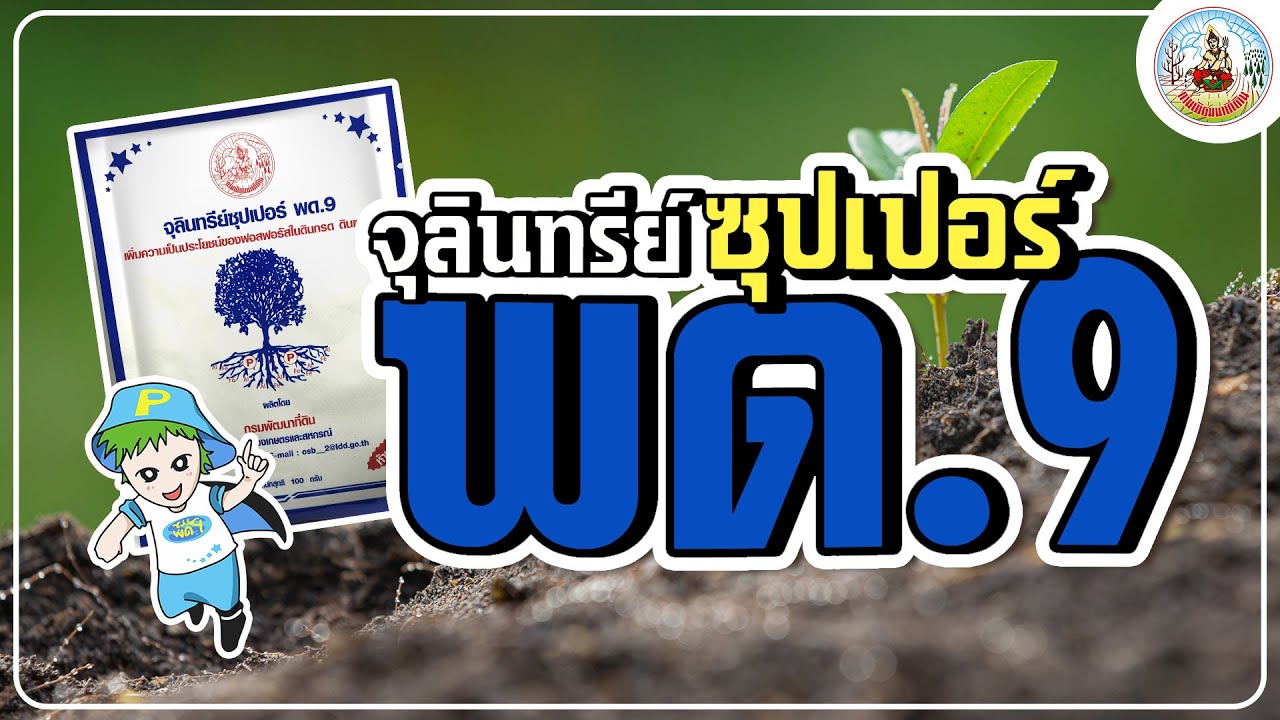 กรมพัฒนาที่ดิน-จุลินทรีย์ซุปเปอร์ พด.9 ที่ไหนเปรี้ยวแก๊งจุลินทรีย์สุดเฉี่ยวทวงฟอสฟอรัสคืน