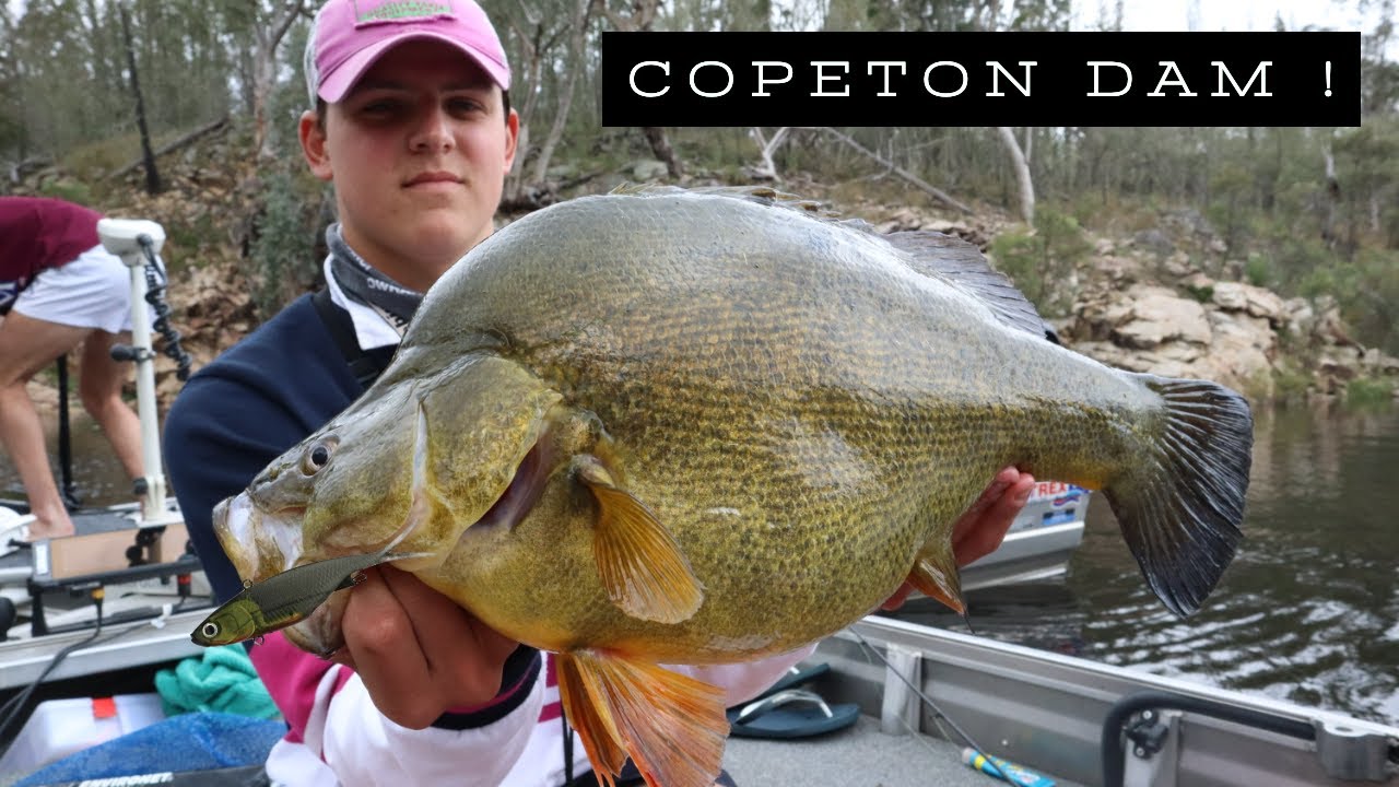 30+ Yellas Shaking Soft Vibes at COPETON DAM - codaddiction ep8