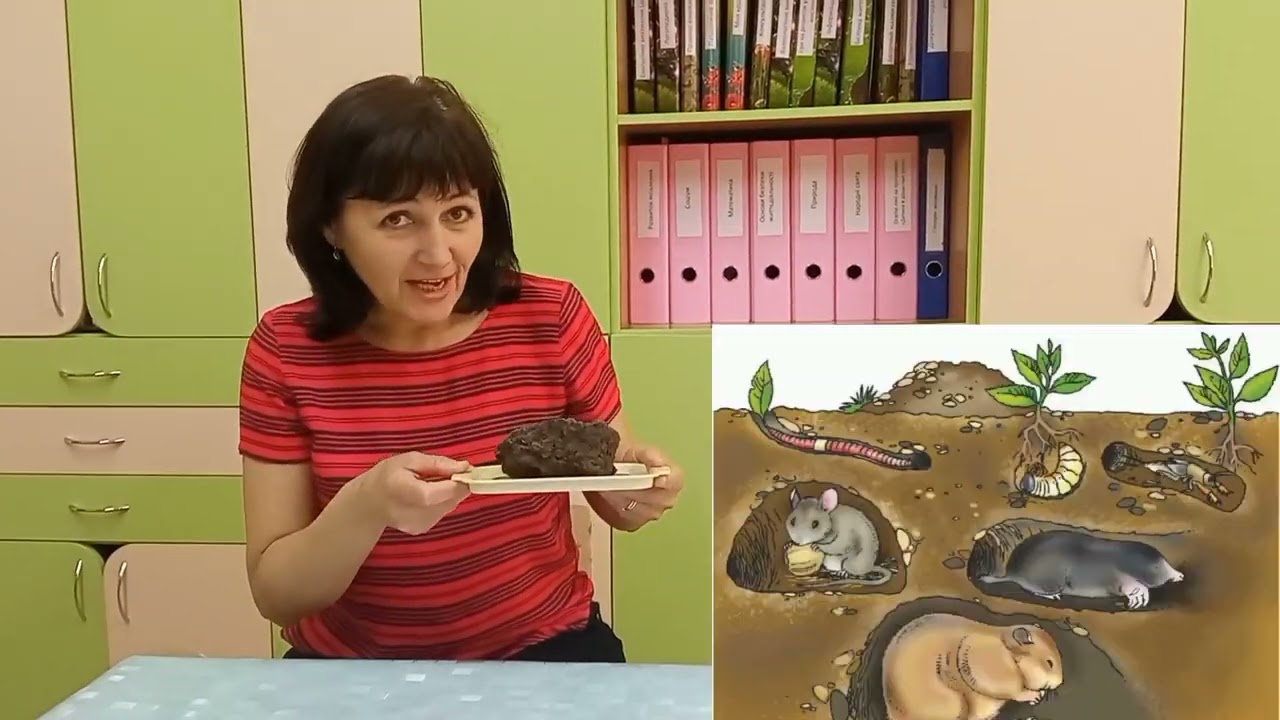 Дослід 
