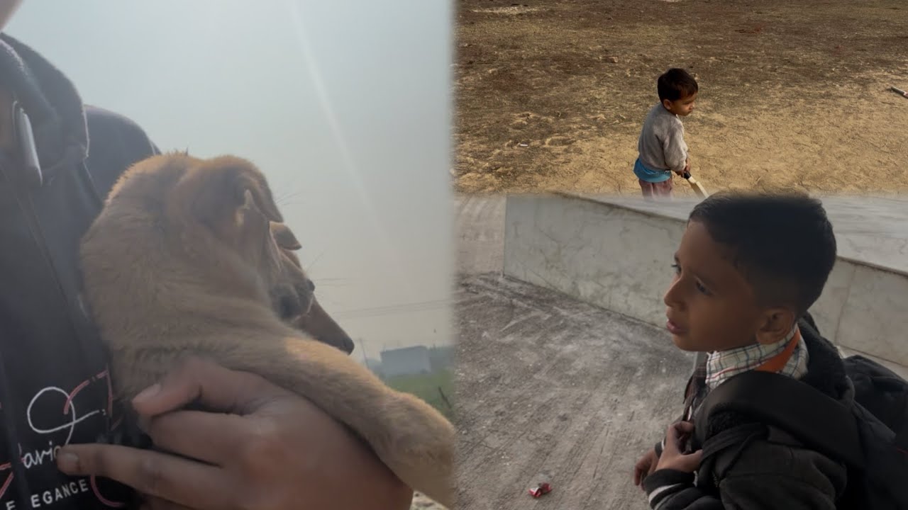 PILLO KO BACHAYA 😌|| Rajat Shrivastav 