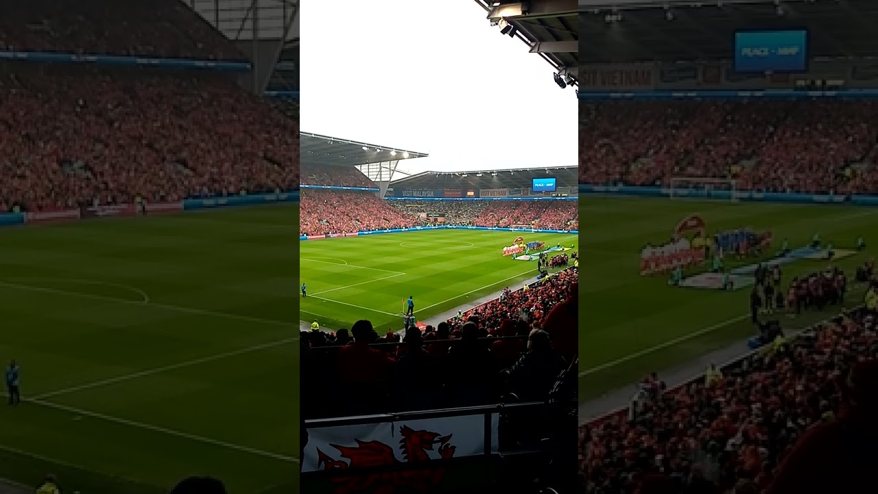 Wales fans again proving to be best in world. Zombie nation, Ukraine and Cymru anthems