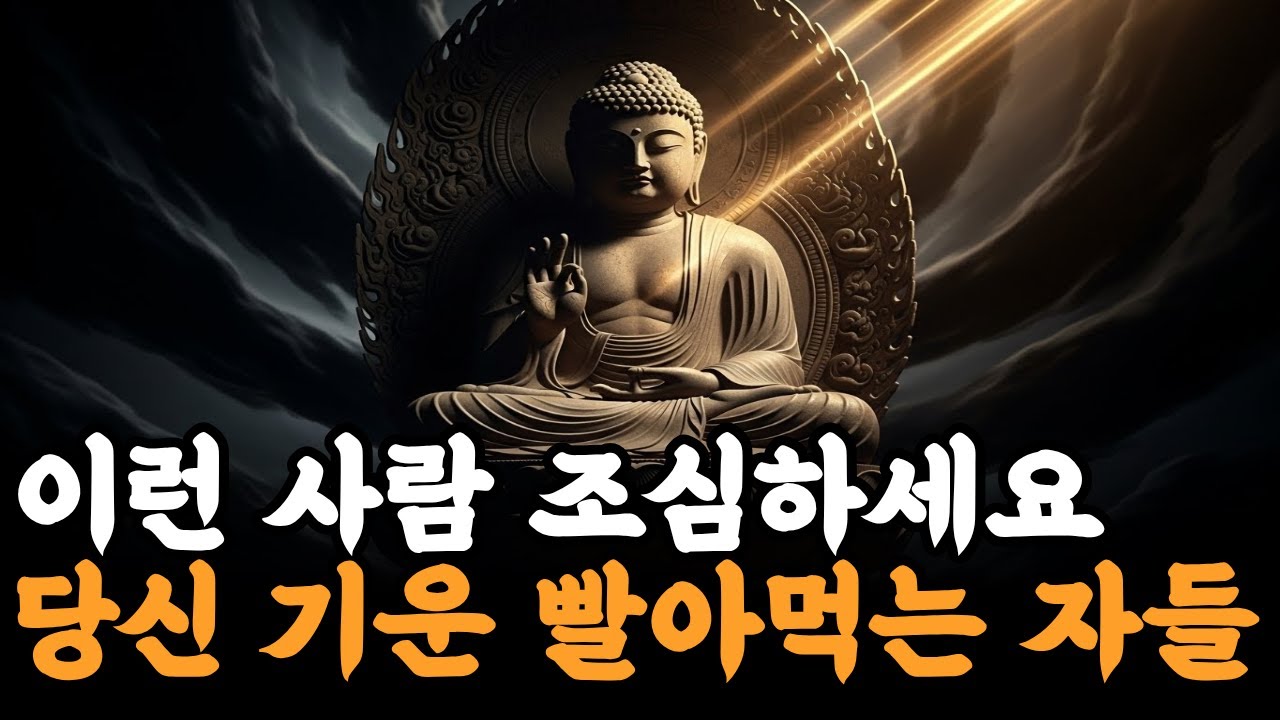 당신 기운 빨아먹는 자들 운 도둑 피하는 법 | 불교 말씀 | 명상 이야기 | 법문 라디오 l 깨어있는 삶의 비밀 #불교명상 #일상명상 #힐링