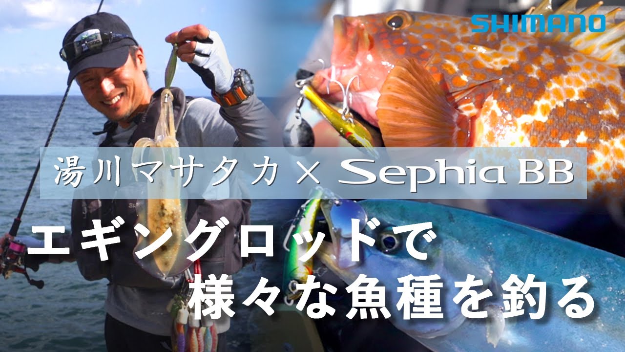エギングタックルで様々な魚種を釣る【湯川マサタカ 】