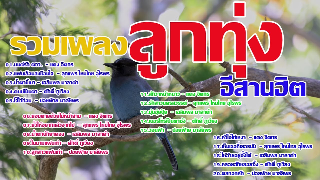 รวมเพลงลูกทุ่งอีสานเพลงฮิต