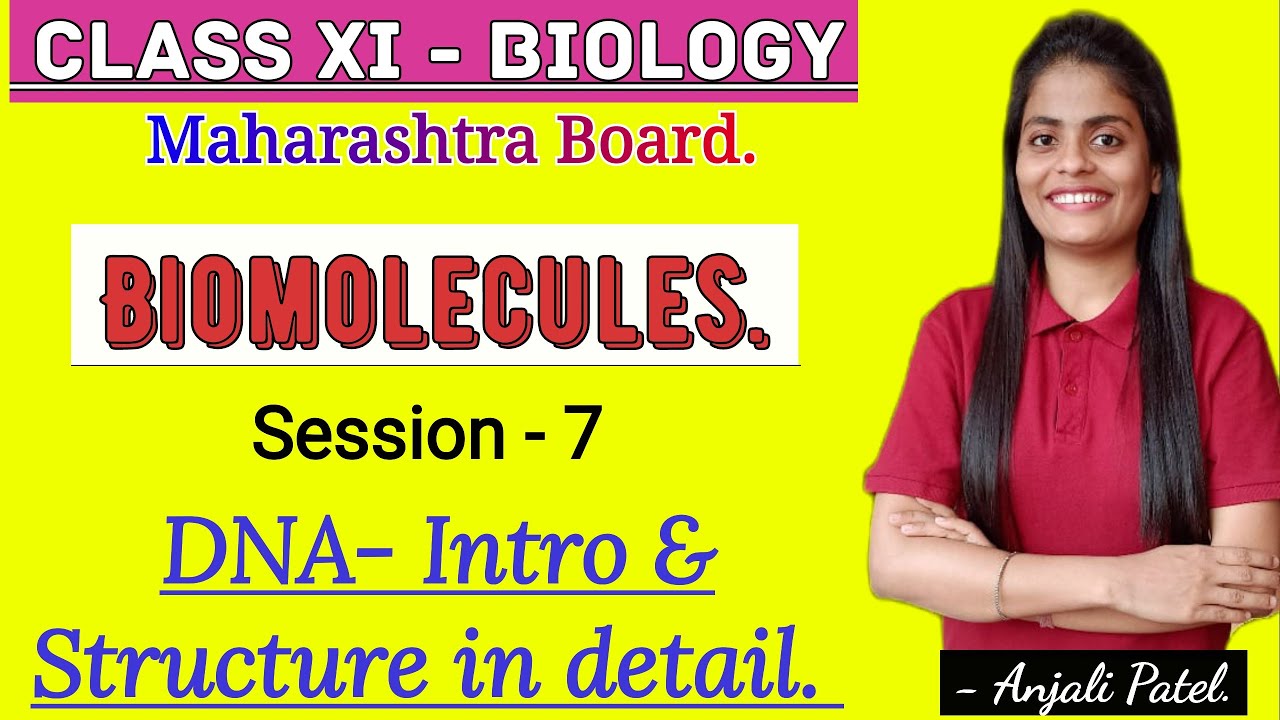 Class XI Biology - Biomolecules- DNA : Structure and description.