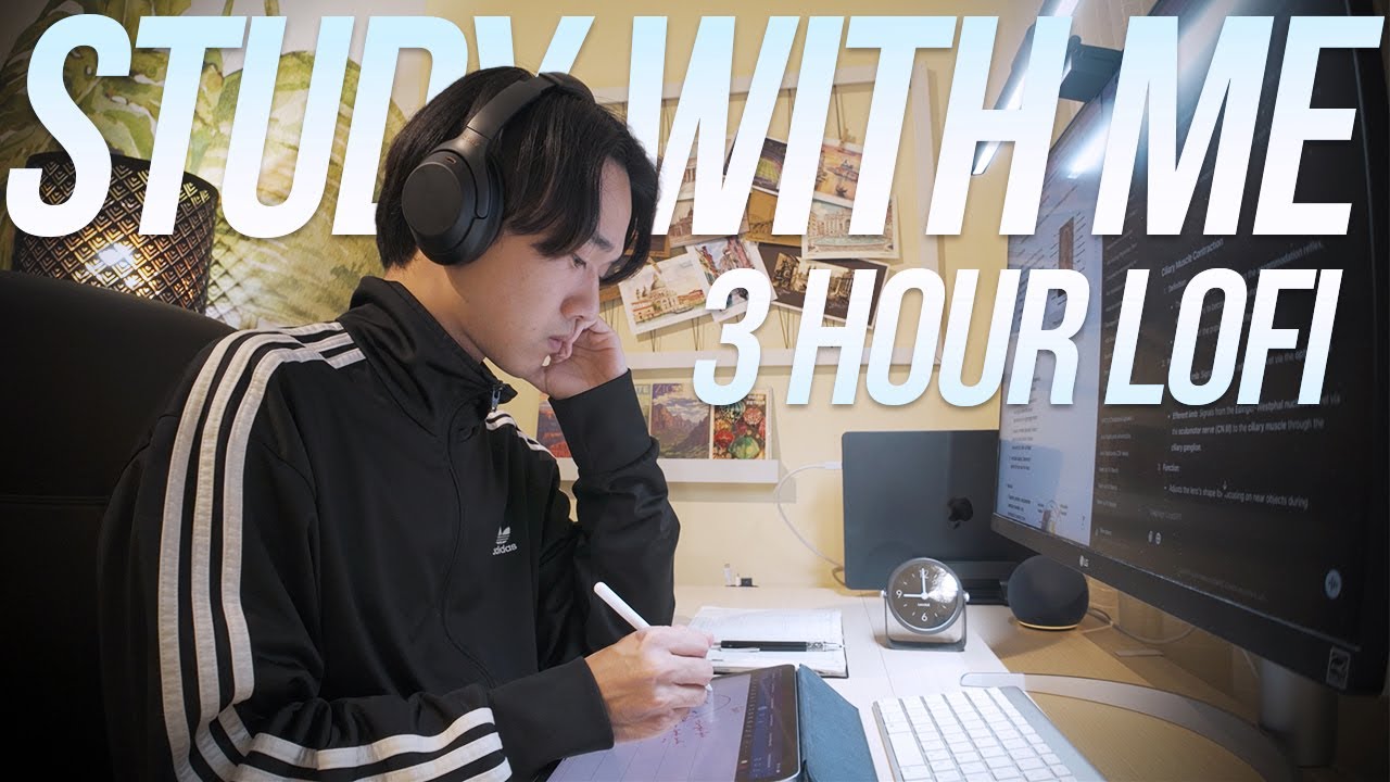 Study with me｜試験直前の海外医学生と3時間集中 | Lofi 勉強 BGM 📚