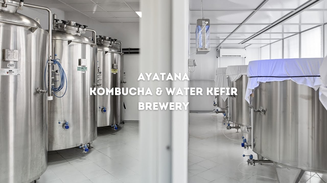 AYATANA kombucha brewery  | Ayatana.eu