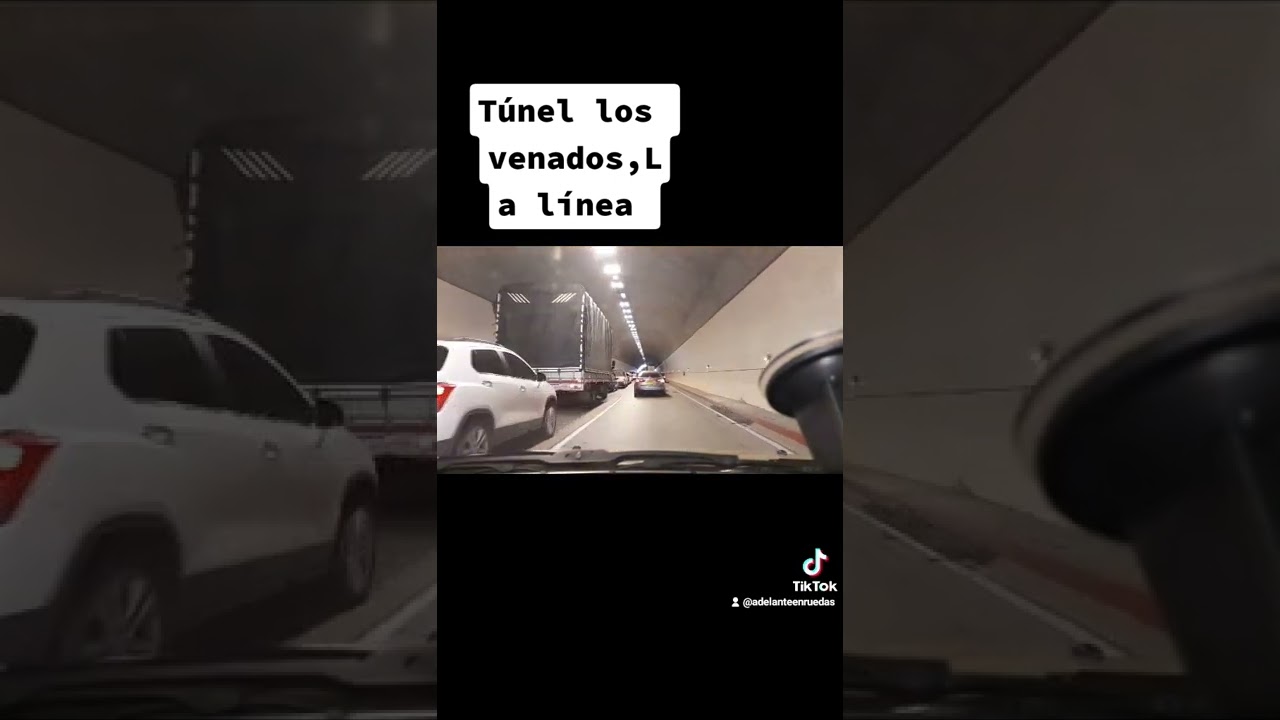 t&uacute;nel los Venados, la l&iacute;nea.