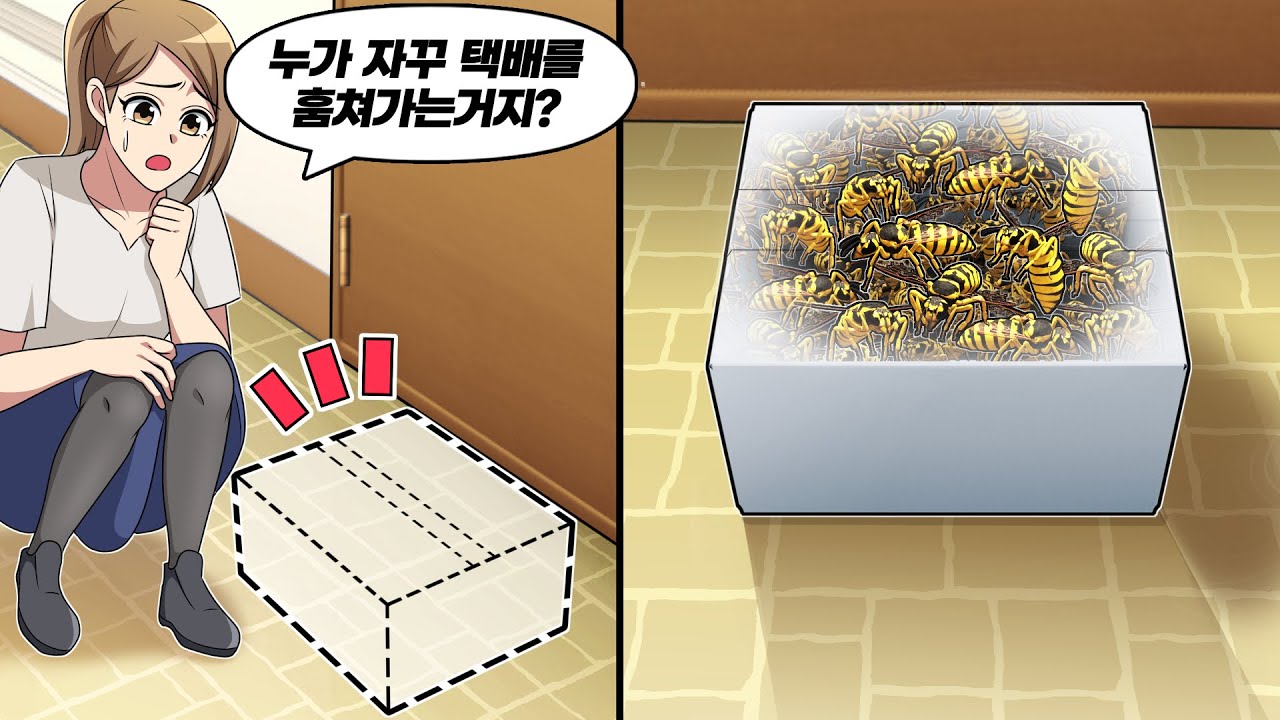 집앞에 도착한 택배가 자꾸만 사라진다 → 상자안에 들어있던 것의 정체는...