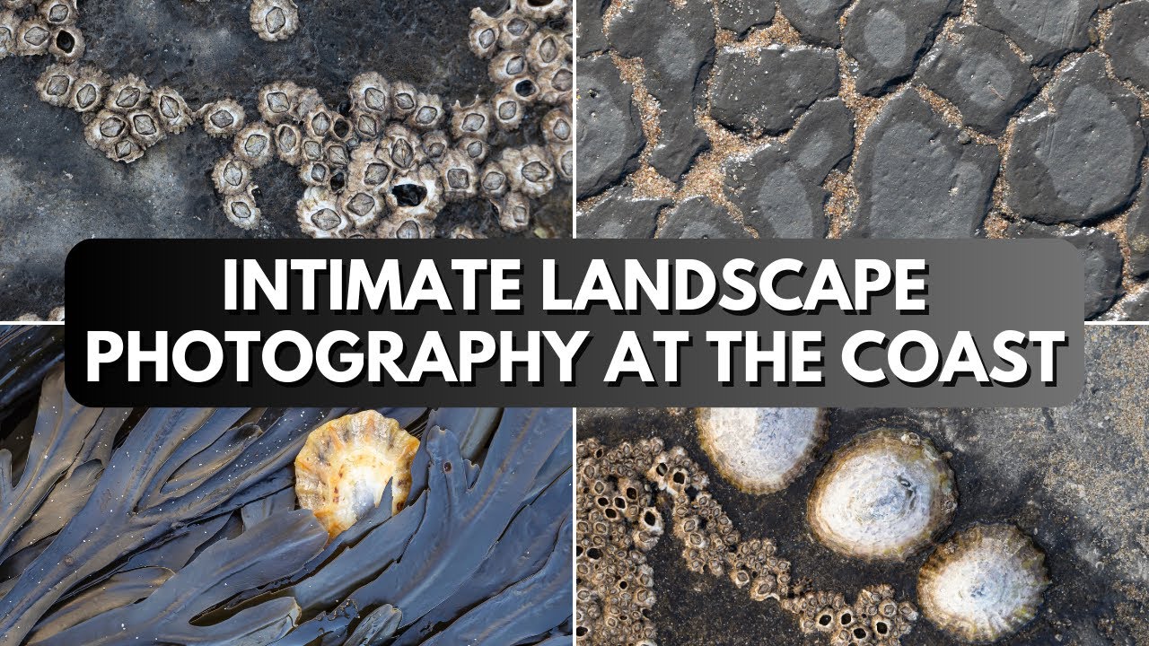 5 Tips for Better Intimate Landscape Photos at the Coast