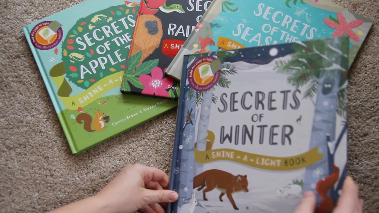 Usborne Shine a Light Books- Among the Best!!